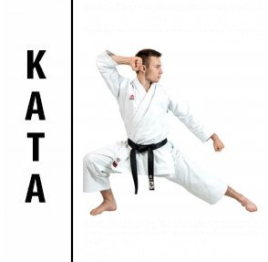 WKF Approved In Gr Karate Gi Hayashi Champion Flex 190 und 200cm.Mesh Einsätz 